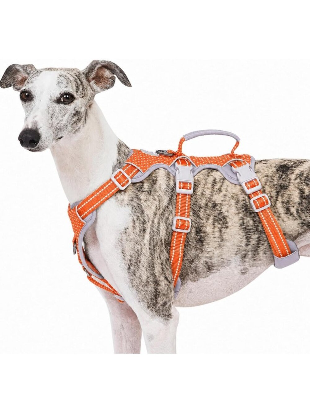 Adjustable No-Pull Dog Harness with Reflective Straps & Lift Handle for All